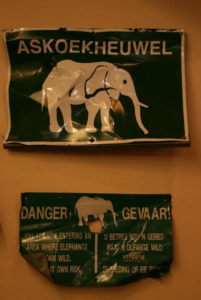 Elephant Sanctuary (1).jpg